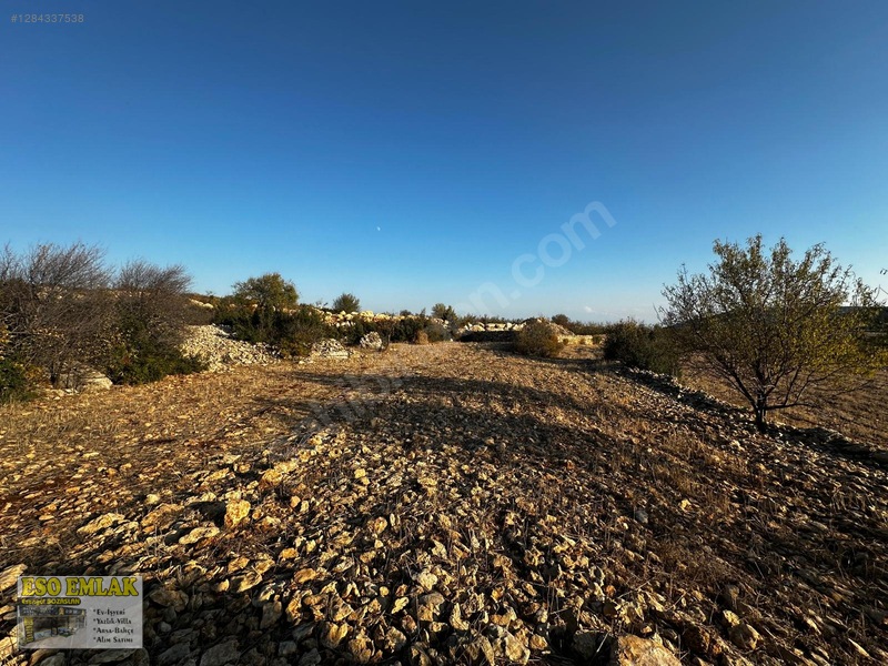 Mersin Silifke Çadırlı Satılık İşlenmiş Tarla — fotoğraf 5