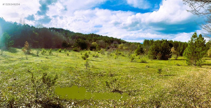 Sahibinden.safranbolu-kastamonu Arası Tarla 17952m² Yollu.takas — fotoğraf 10