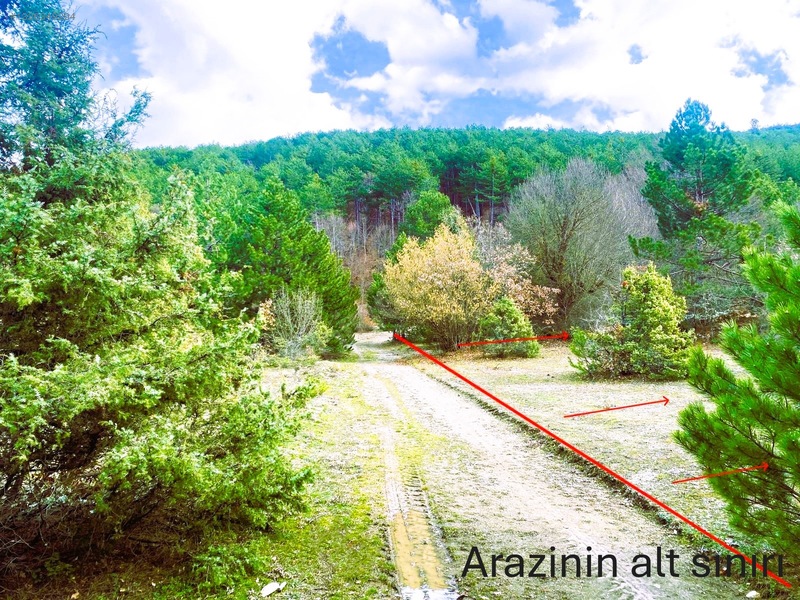 Sahibinden.safranbolu-kastamonu Arası Tarla 17952m² Yollu.takas — fotoğraf 11