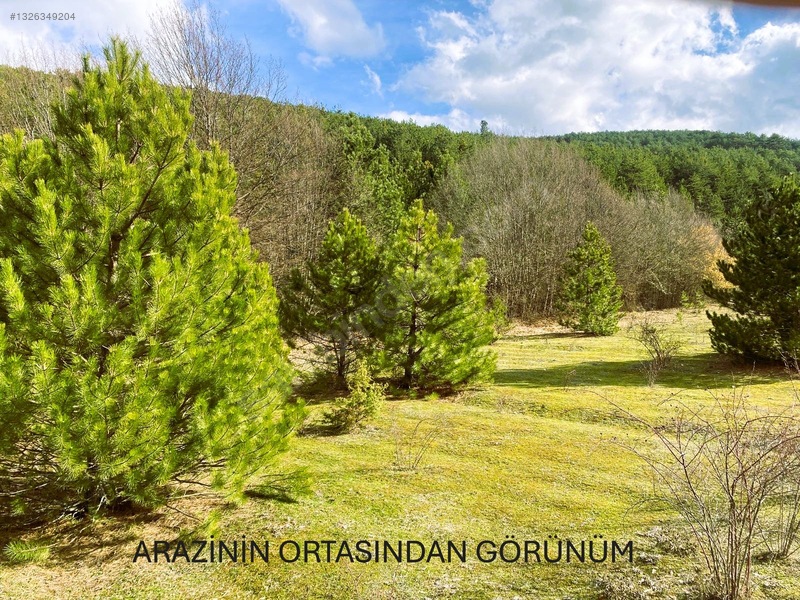 Sahibinden.safranbolu-kastamonu Arası Tarla 17952m² Yollu.takas — fotoğraf 12