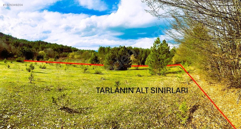 Sahibinden.safranbolu-kastamonu Arası Tarla 17952m² Yollu.takas — fotoğraf 13