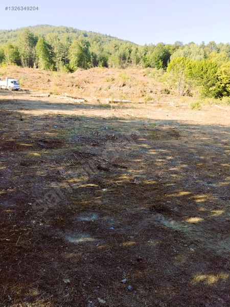 Sahibinden.safranbolu-kastamonu Arası Tarla 17952m² Yollu.takas — fotoğraf 14