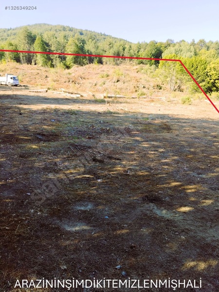Sahibinden.safranbolu-kastamonu Arası Tarla 17952m² Yollu.takas — fotoğraf 15