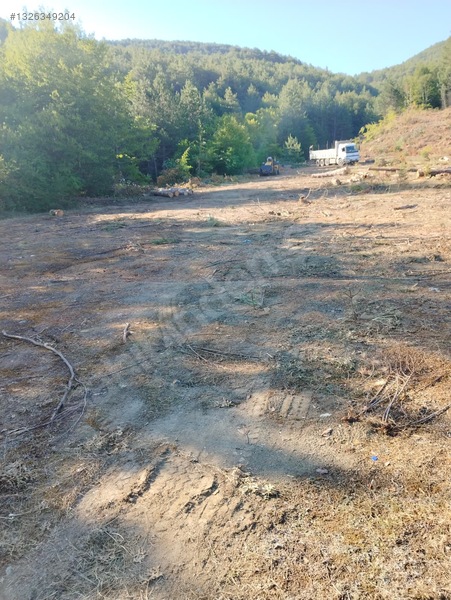 Sahibinden.safranbolu-kastamonu Arası Tarla 17952m² Yollu.takas — fotoğraf 16
