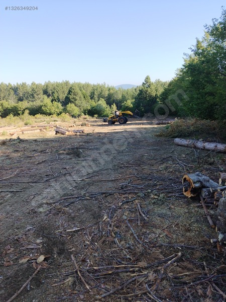 Sahibinden.safranbolu-kastamonu Arası Tarla 17952m² Yollu.takas — fotoğraf 17
