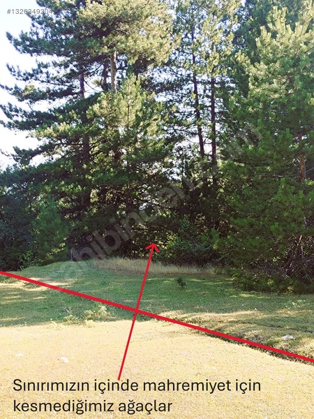 Sahibinden.safranbolu-kastamonu Arası Tarla 17952m² Yollu.takas — fotoğraf 19