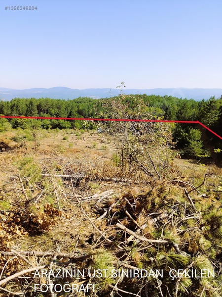 Sahibinden.safranbolu-kastamonu Arası Tarla 17952m² Yollu.takas — fotoğraf 20