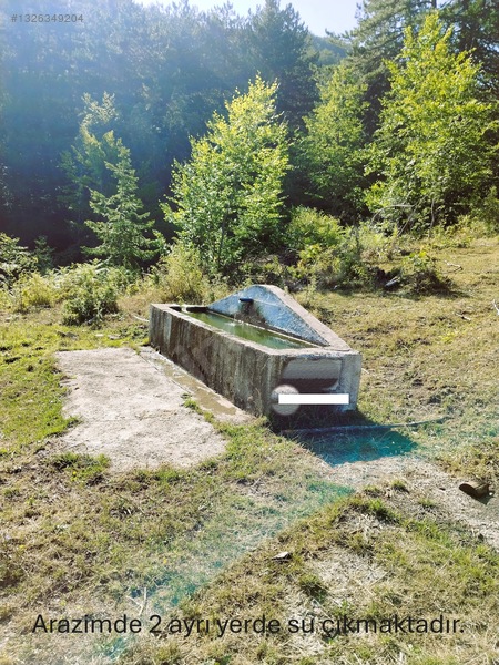 Sahibinden.safranbolu-kastamonu Arası Tarla 17952m² Yollu.takas — fotoğraf 22