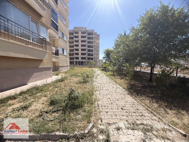 ***kaçmaz 'dan***sincan Alcı Da İskanlı Kelepirr — fotoğraf 11
