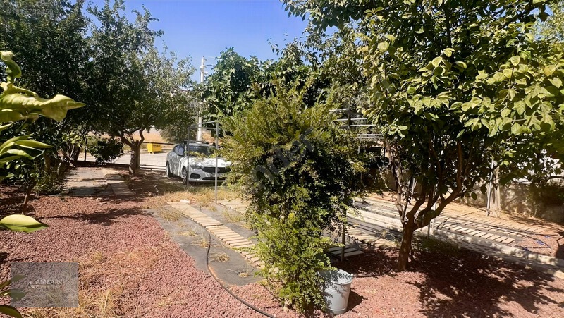 Ambarcı'dan Yelkide Geniş Bahçe Kullanımlı Kiralık Villa — fotoğraf 4