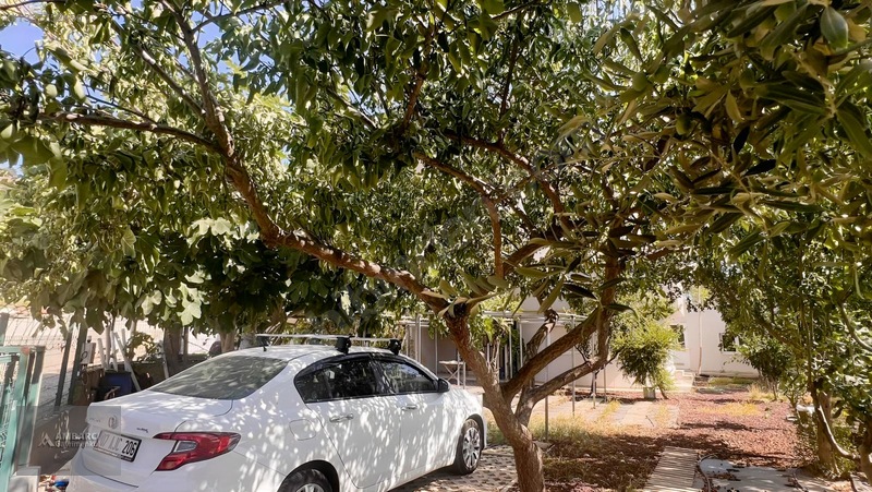 Ambarcı'dan Yelkide Geniş Bahçe Kullanımlı Kiralık Villa — fotoğraf 6