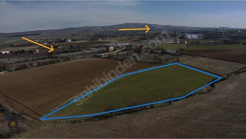 Liondan Yatırımcılar İçin Fırsat Uygun Acil Acil Satılık Tarla — fotoğraf 4