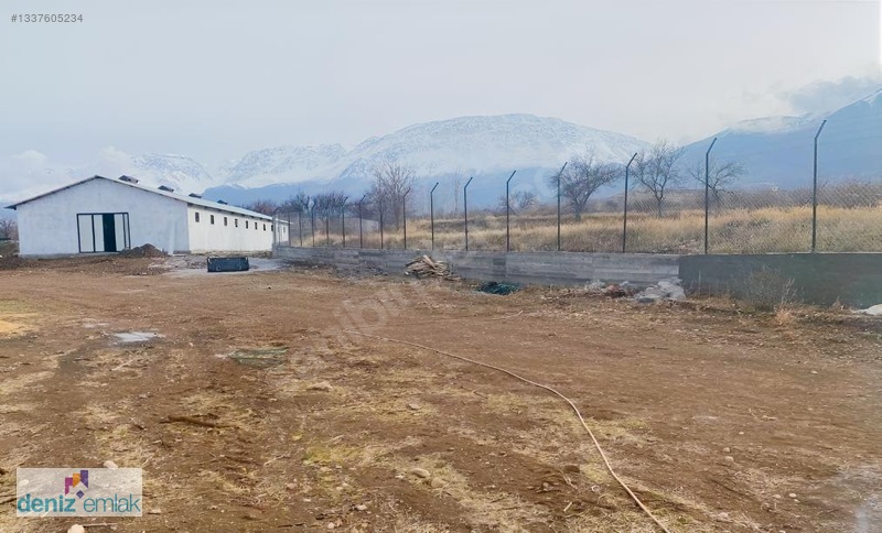 Deniz Emlak'tan Ruhsatlı Satılık Çiftlik Ortayurt'da — fotoğraf 5