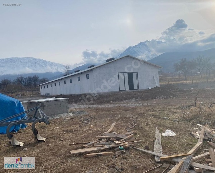 Deniz Emlak'tan Ruhsatlı Satılık Çiftlik Ortayurt'da — fotoğraf 7
