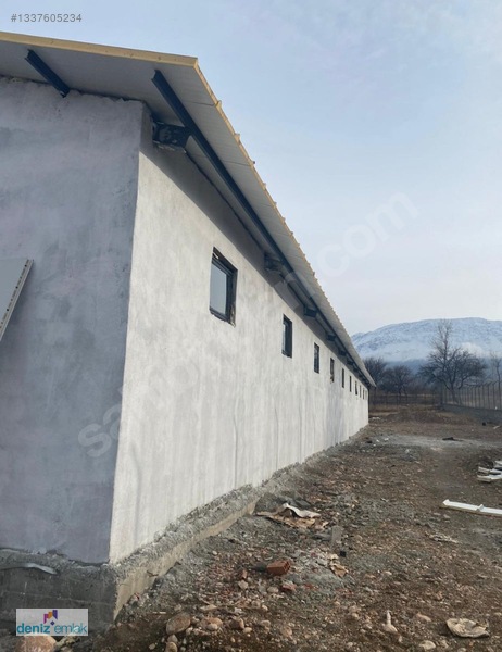 Deniz Emlak'tan Ruhsatlı Satılık Çiftlik Ortayurt'da — fotoğraf 11