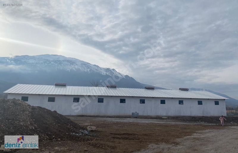 Deniz Emlak'tan Ruhsatlı Satılık Çiftlik Ortayurt'da — fotoğraf 14