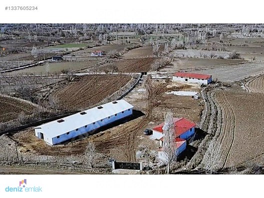 Deniz Emlak'tan Ruhsatlı Satılık Çiftlik Ortayurt'da — fotoğraf 15