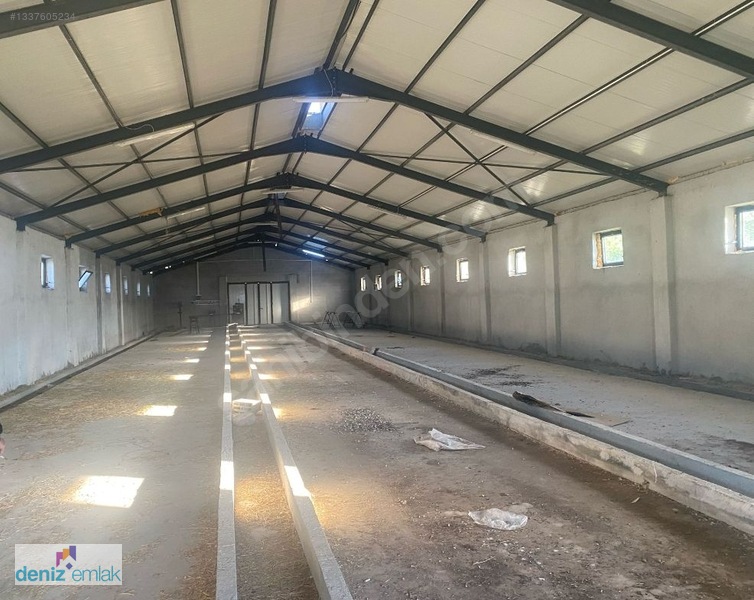 Deniz Emlak'tan Ruhsatlı Satılık Çiftlik Ortayurt'da — fotoğraf 16