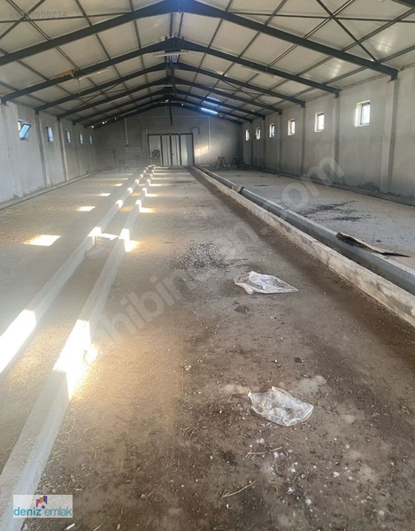 Deniz Emlak'tan Ruhsatlı Satılık Çiftlik Ortayurt'da — fotoğraf 17
