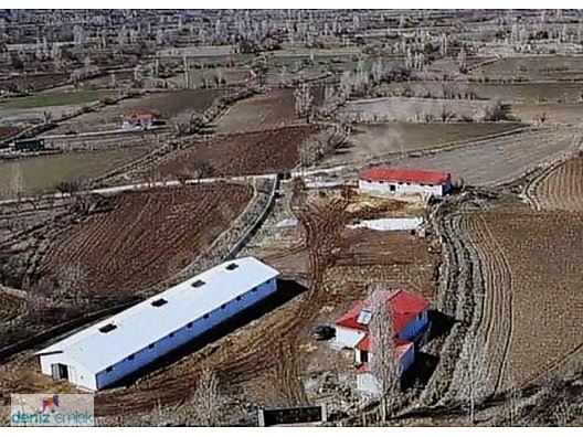 Deniz Emlak'tan Ruhsatlı Satılık Çiftlik Ortayurt'da — fotoğraf 18