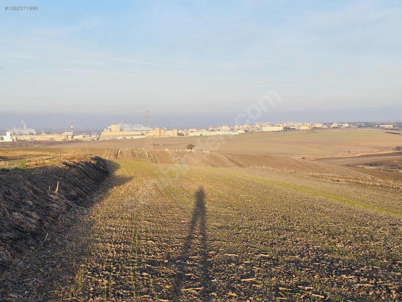 Tekirdağ Ergene Esenler 1700m2 Parsel — fotoğraf 2