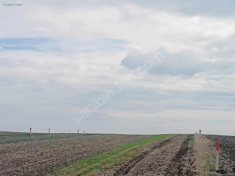 Tekirdağ Ergene Esenler 1700m2 Parsel — fotoğraf 5