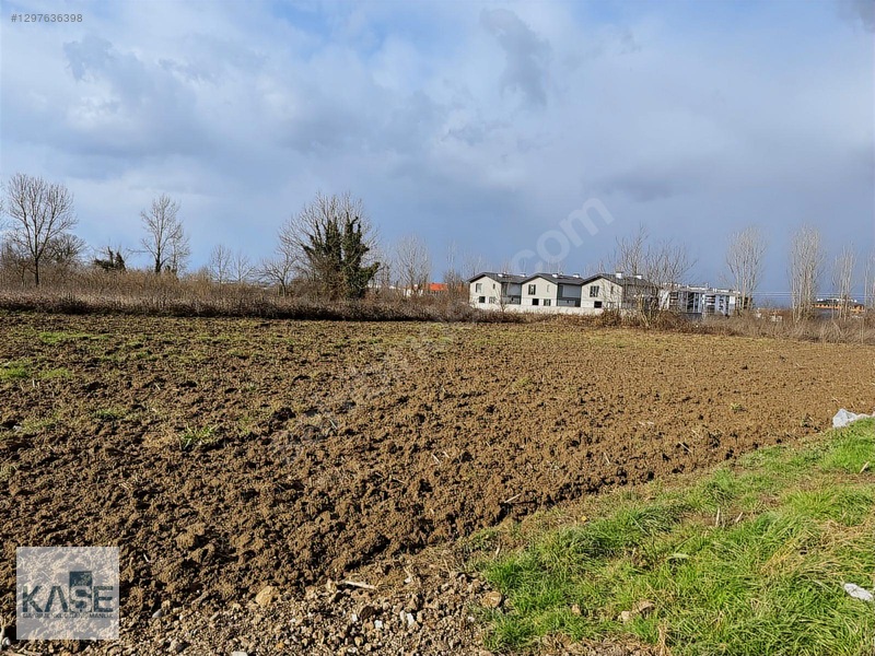 Düzce Merkez Darıcılıda Villa İmarlı Yapılaşmaya Hazır Parseller — fotoğraf 6