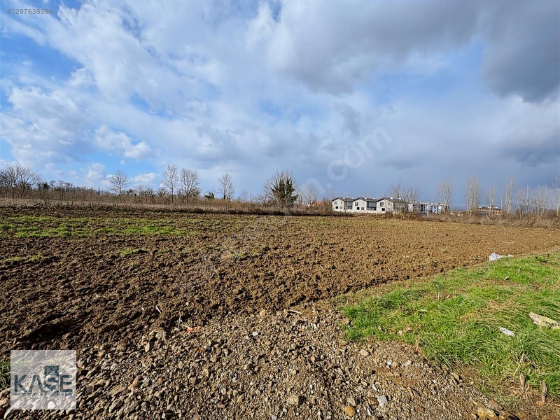 Düzce Merkez Darıcılıda Villa İmarlı Yapılaşmaya Hazır Parseller — fotoğraf 7