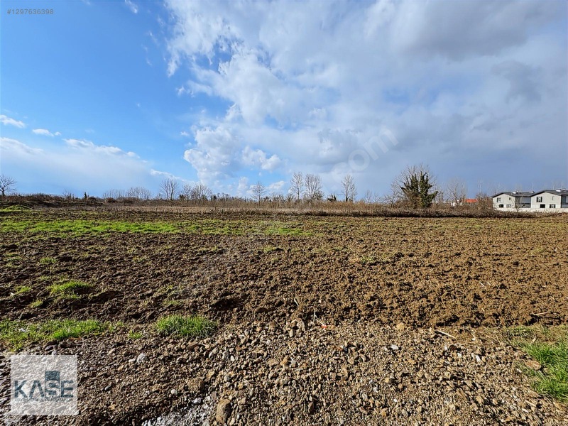 Düzce Merkez Darıcılıda Villa İmarlı Yapılaşmaya Hazır Parseller — fotoğraf 8