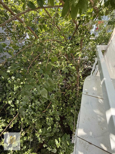 Güzeloba'da Satılık İkiz Villa, 440m² Arsa, 5+1 / 5+1 — fotoğraf 26