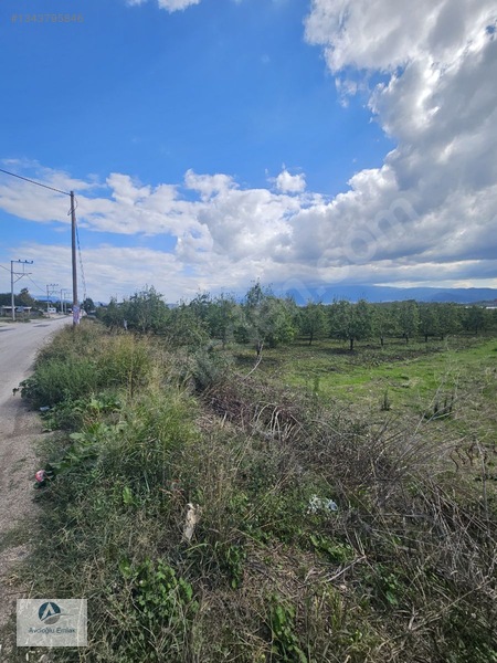 Mudanya Ahmetköy'de Satılık 8 Dönüm Soğuk Hava Deposu Yapılır — fotoğraf 3