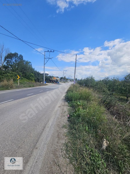 Mudanya Ahmetköy'de Satılık 8 Dönüm Soğuk Hava Deposu Yapılır — fotoğraf 4