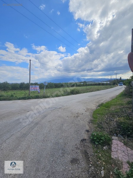 Mudanya Ahmetköy'de Satılık 8 Dönüm Soğuk Hava Deposu Yapılır — fotoğraf 10