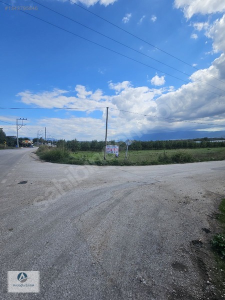 Mudanya Ahmetköy'de Satılık 8 Dönüm Soğuk Hava Deposu Yapılır — fotoğraf 11