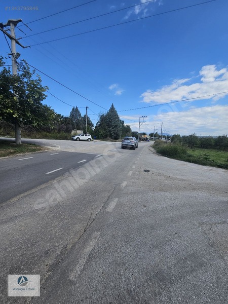 Mudanya Ahmetköy'de Satılık 8 Dönüm Soğuk Hava Deposu Yapılır — fotoğraf 13