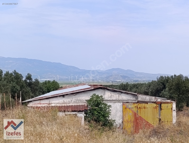Çandarlı Anayola Cepheli Satılık Zeytinlik — fotoğraf 2