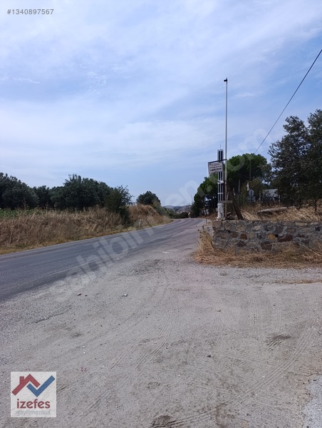 Çandarlı Anayola Cepheli Satılık Zeytinlik — fotoğraf 8
