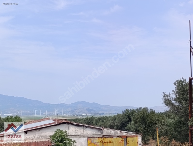 Çandarlı Anayola Cepheli Satılık Zeytinlik — fotoğraf 11