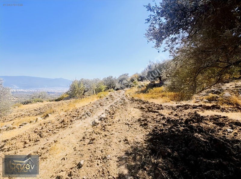 Eğridere Ana Cadde Üzeri Satılık 16.084 M² Arazi — fotoğraf 3