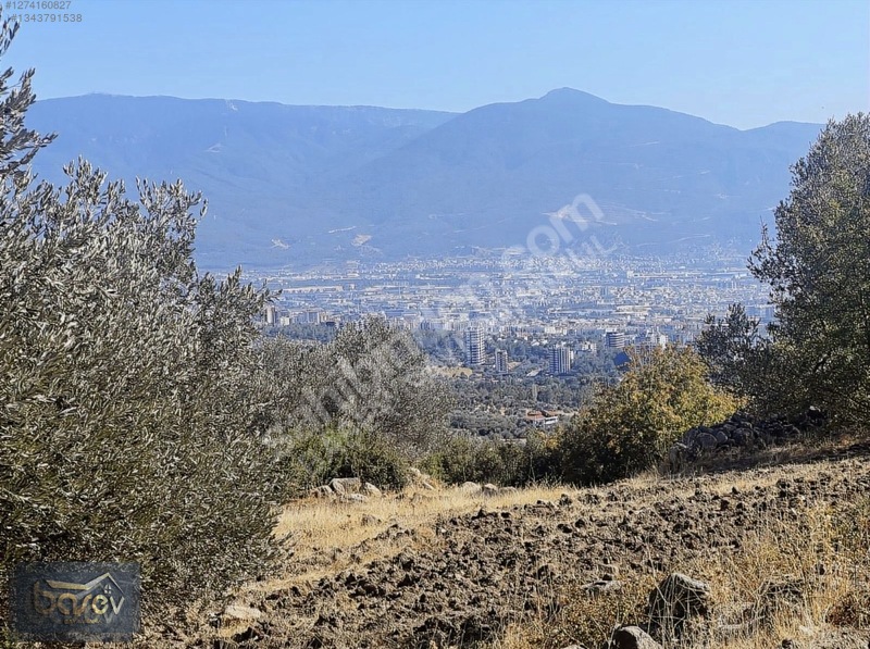 Eğridere Ana Cadde Üzeri Satılık 16.084 M² Arazi — fotoğraf 6