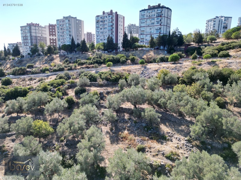 Eğridere Ana Cadde Üzeri Satılık 16.084 M² Arazi — fotoğraf 8