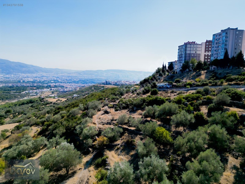 Eğridere Ana Cadde Üzeri Satılık 16.084 M² Arazi — fotoğraf 9
