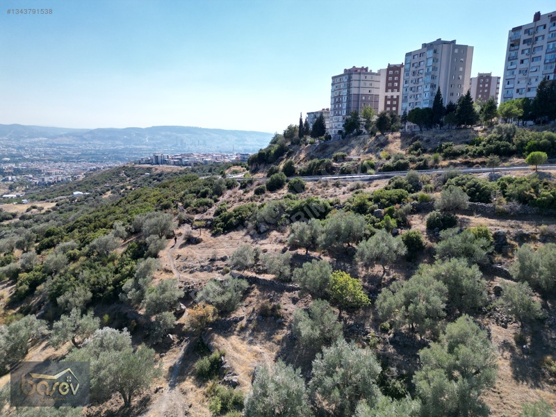 Eğridere Ana Cadde Üzeri Satılık 16.084 M² Arazi — fotoğraf 11