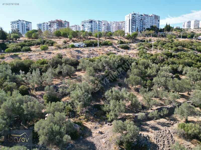 Eğridere Ana Cadde Üzeri Satılık 16.084 M² Arazi — fotoğraf 13