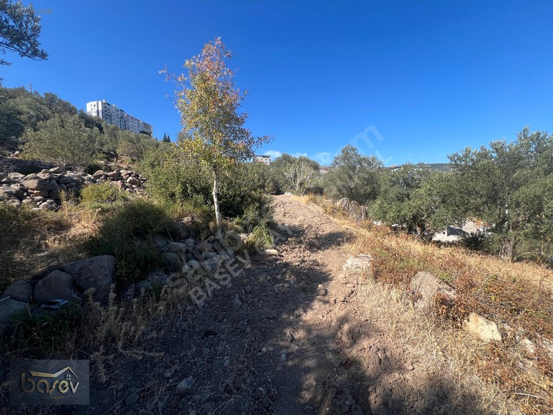 Eğridere Ana Cadde Üzeri Satılık 16.084 M² Arazi — fotoğraf 14