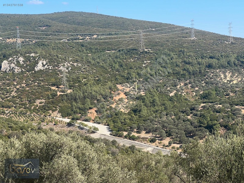 Eğridere Ana Cadde Üzeri Satılık 16.084 M² Arazi — fotoğraf 16