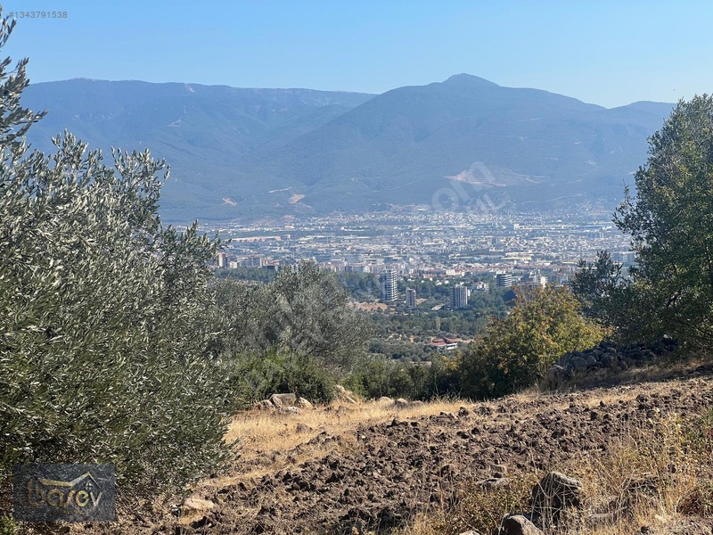 Eğridere Ana Cadde Üzeri Satılık 16.084 M² Arazi — fotoğraf 17