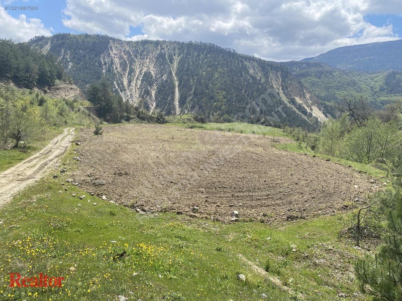 Muhteşem Fırsat 6.000 M2 Yola Cepheli Müstakil Tapulu