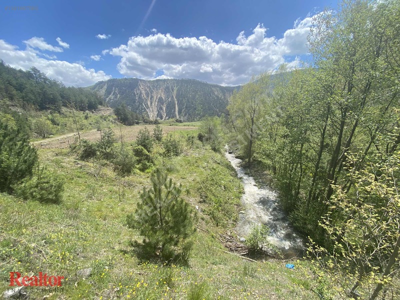 Muhteşem Fırsat 6.000 M2 Yola Cepheli Müstakil Tapulu — fotoğraf 2