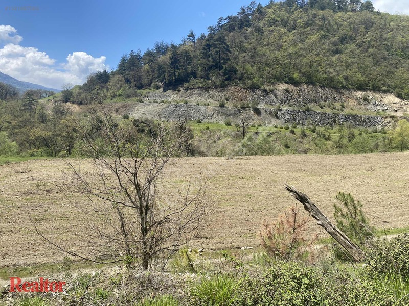 Muhteşem Fırsat 6.000 M2 Yola Cepheli Müstakil Tapulu — fotoğraf 7